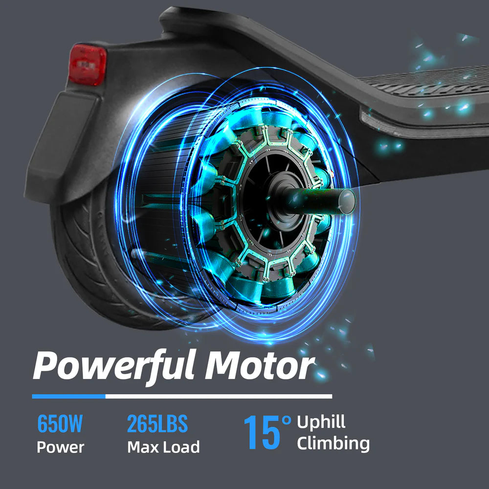 ELECTRIC SCOOTER RS300